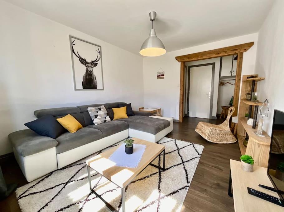 ג'רארדמר Epicea, Bel Appartement Avec Balcon Au Centre Ville מראה חיצוני תמונה